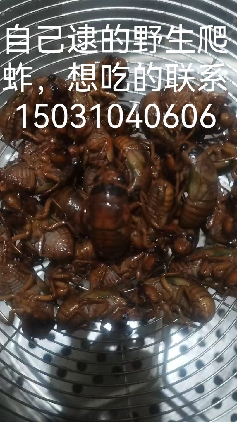 出售野生爬蚱，自己逮的吃不完，数量不多先到先得（第 1 张）