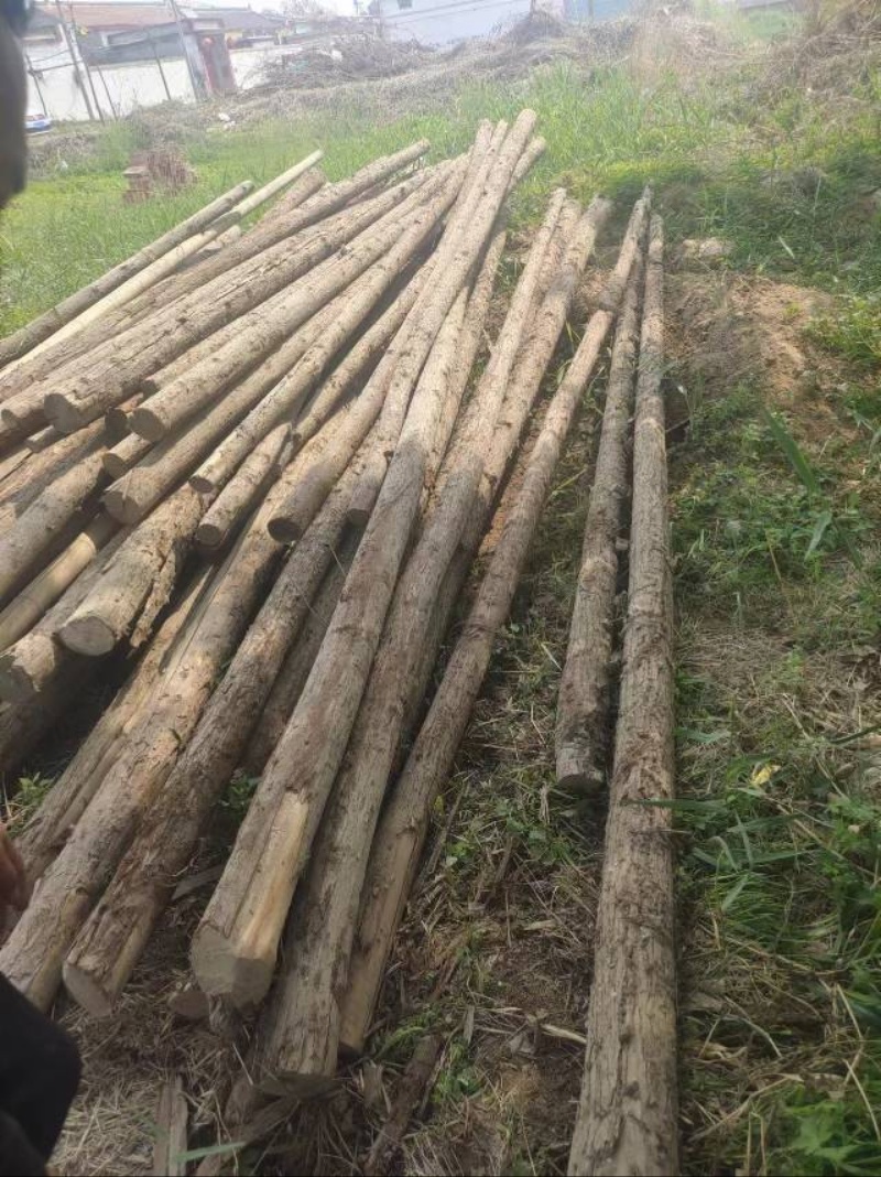 闲置的杆子，现在不用啦，有需要的联系，有四米，五米，六米的，大概一百来根，需要联（第 1 张）