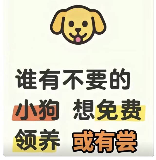 谁家有小狗，我要领养小狗，有的联系我，什么狗都行（第 2 张）