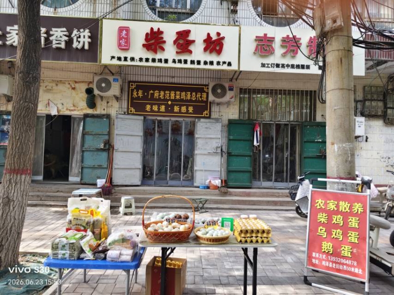 欢迎新老顾客，有需要新鲜柴鸡蛋，乌鸡蛋，鸭蛋，鹅蛋，鹌鹑蛋，鲜香鹌鹑蛋，松花蛋，（第 5 张）