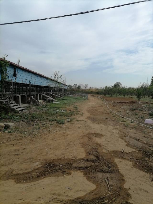 出租养殖场地，能有猪圈羊圈，可以养鹅兔鸡鸭牛，有料棚，有住房，水电齐全，交通便利（第 1 张）