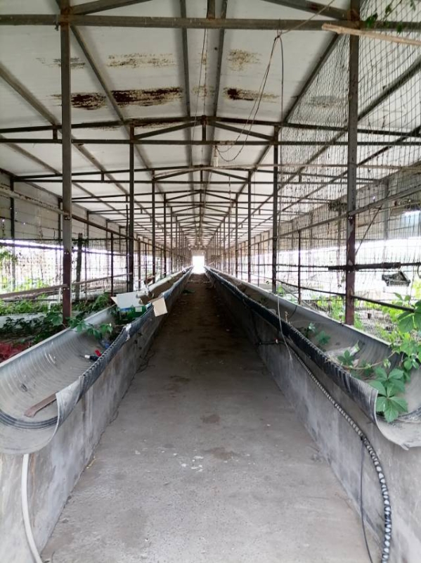 出租养殖场地，能有猪圈羊圈，可以养鹅兔鸡鸭牛，有料棚，有住房，水电齐全，交通便利（第 2 张）