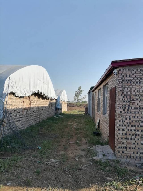 出租养殖场地，能有猪圈羊圈，可以养鹅兔鸡鸭牛，有料棚，有住房，水电齐全，交通便利（第 5 张）