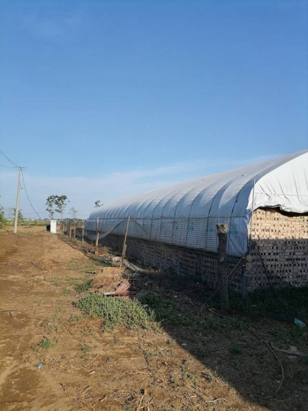 出租养殖场地，能有猪圈羊圈，可以养鹅兔鸡鸭牛，有料棚，有住房，水电齐全，交通便利（第 8 张）