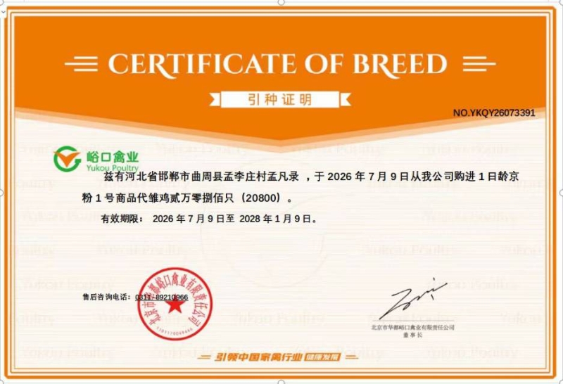 出售，峪口京粉一号青年鸡
53天还有10300只，只养两万只
每批产蛋率都是9.（第 2 张）