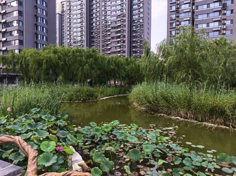 现房，大两居，可改三居，大社区，环境好，水系多，物业服务好，无差评。（第 1 张）