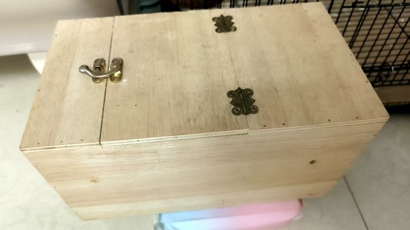 光鹦鹉20元一对，一套60元（第 2 张）