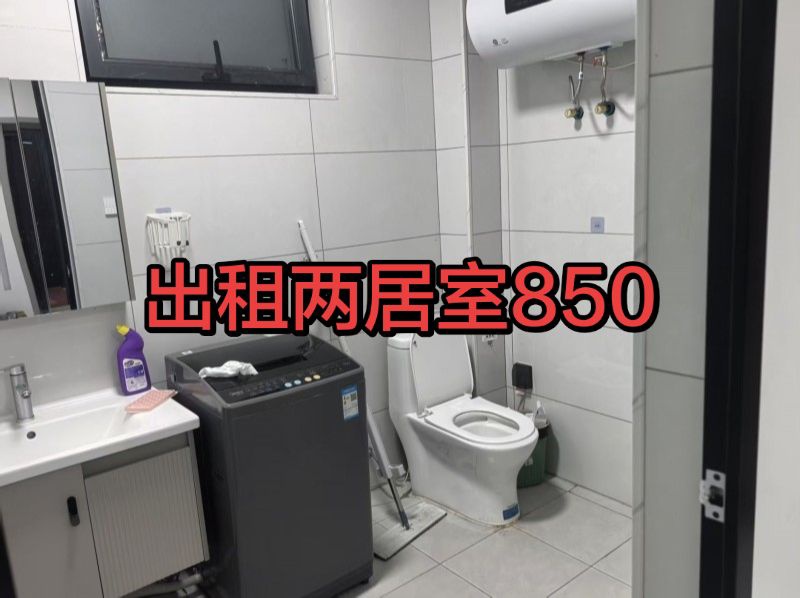 出租南街两居室，齐全，新，干净（第 1 张）