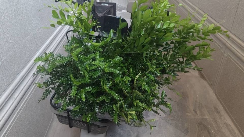 利客隆附近有一楼房三室两厅，全新家电家具壁挂炉地暖，空调，冰箱、洗衣机、热水器，（第 4 张）
