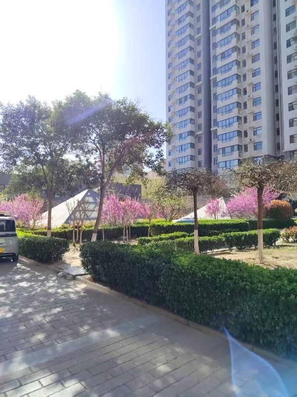 东柳大街阳光领地小区，房子采光好，家电优质，干净通透，小区环境优雅，周围设施齐全（第 1 张）