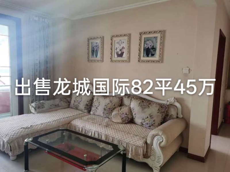 出售龙城国际电梯房45万。可过户，能贷款，首付10万。（第 1 张）