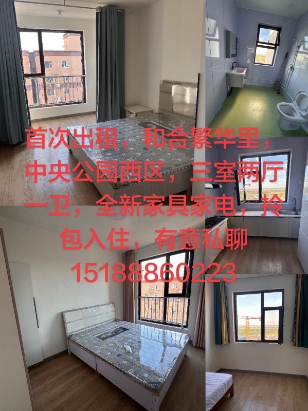 双卧客厅朝南朝阳，三个卧室一厨一卫，全新家具家电（第 1 张）