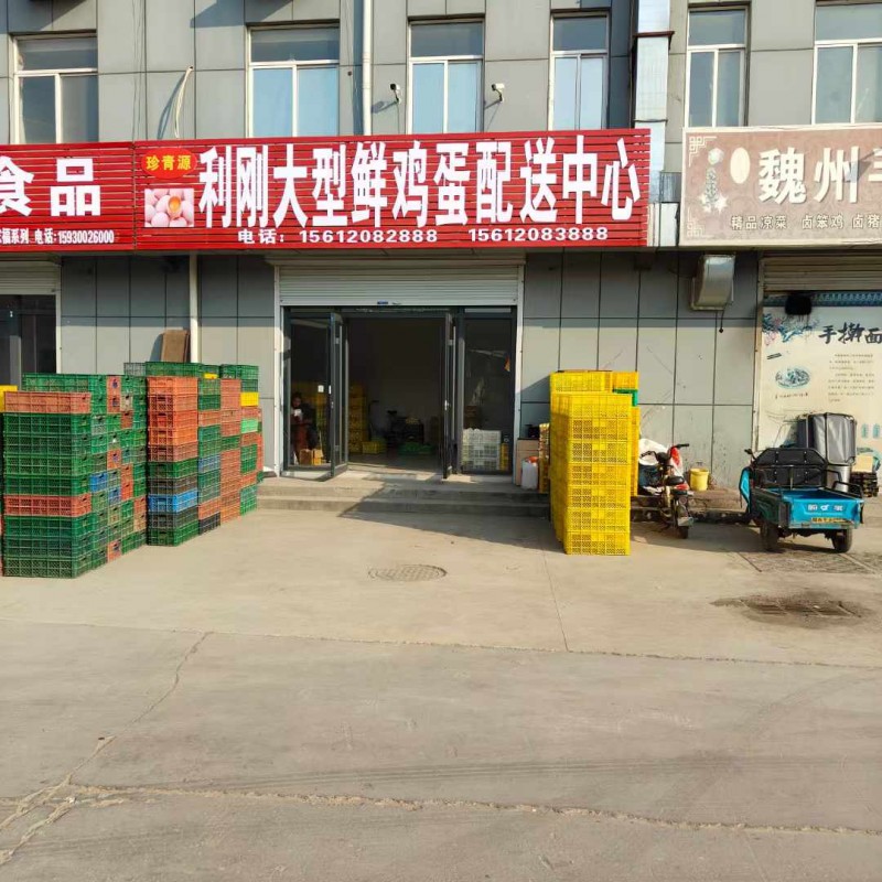 大量出售鸡蛋，鹅蛋（第 1 张）