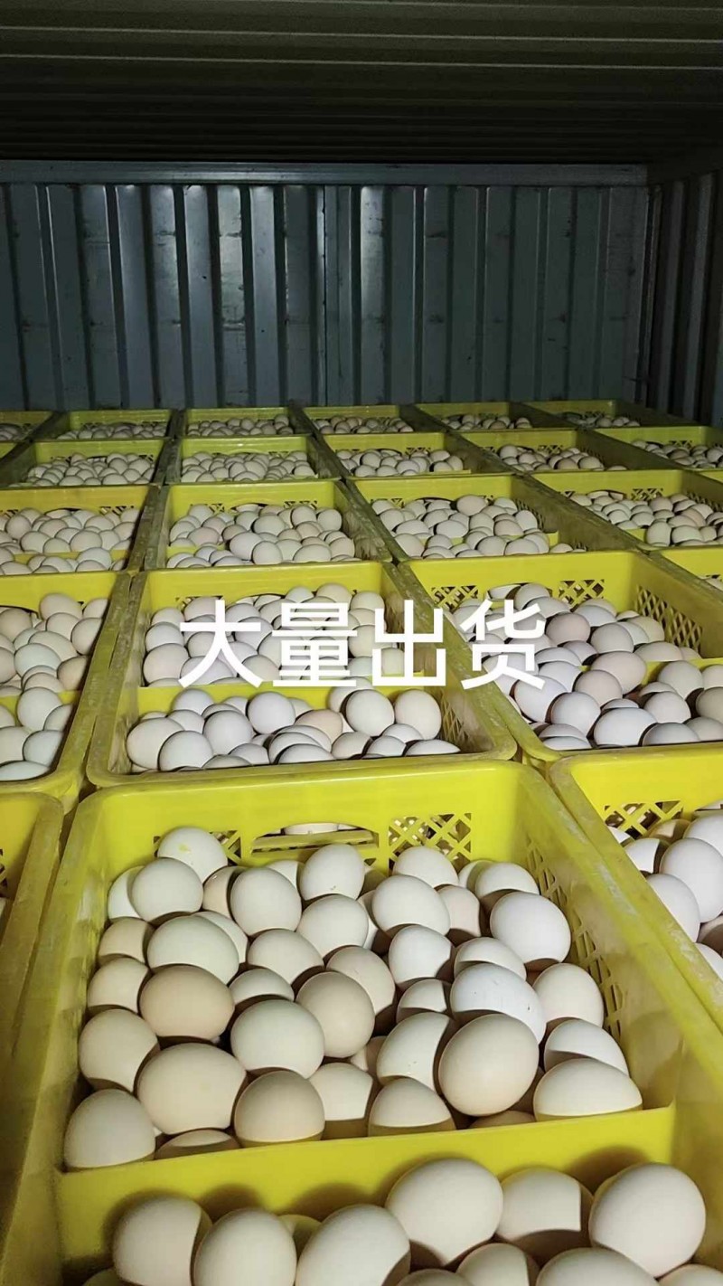大量出售鸡蛋，鹅蛋（第 2 张）