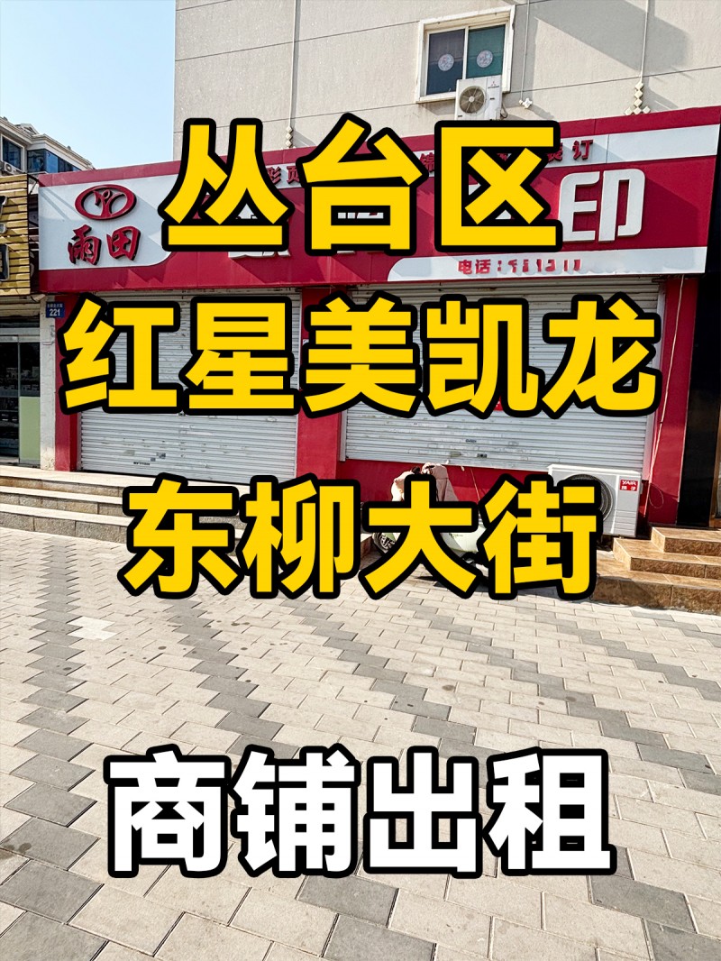 丛台区红星美凯龙 东柳大街 商铺出租（第 1 张）