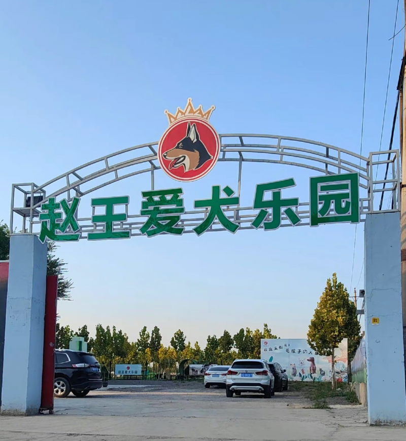 邯郸市丛台区
赵王爱犬训练基地
基地开设
狗狗训练班
狗狗寄养班
陋习（第 1 张）