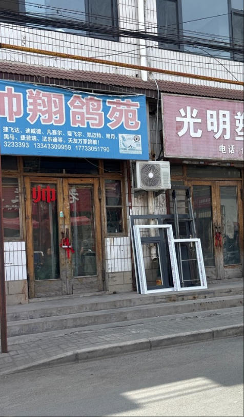 帅翔鸽苑 
捷飞达、迪威德、凡赛尔、隆飞尔、凯迈特、明月、黑马、捷普瑞、法乐迪（第 1 张）
