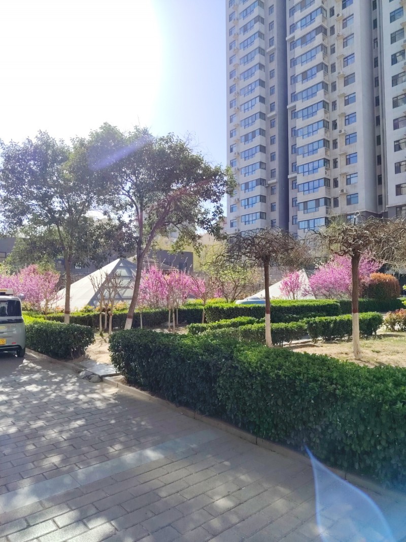 出租东柳大街阳光领地小区，房子采光好，家电优质，干净通透，小区环境优雅，周围设施（第 7 张）