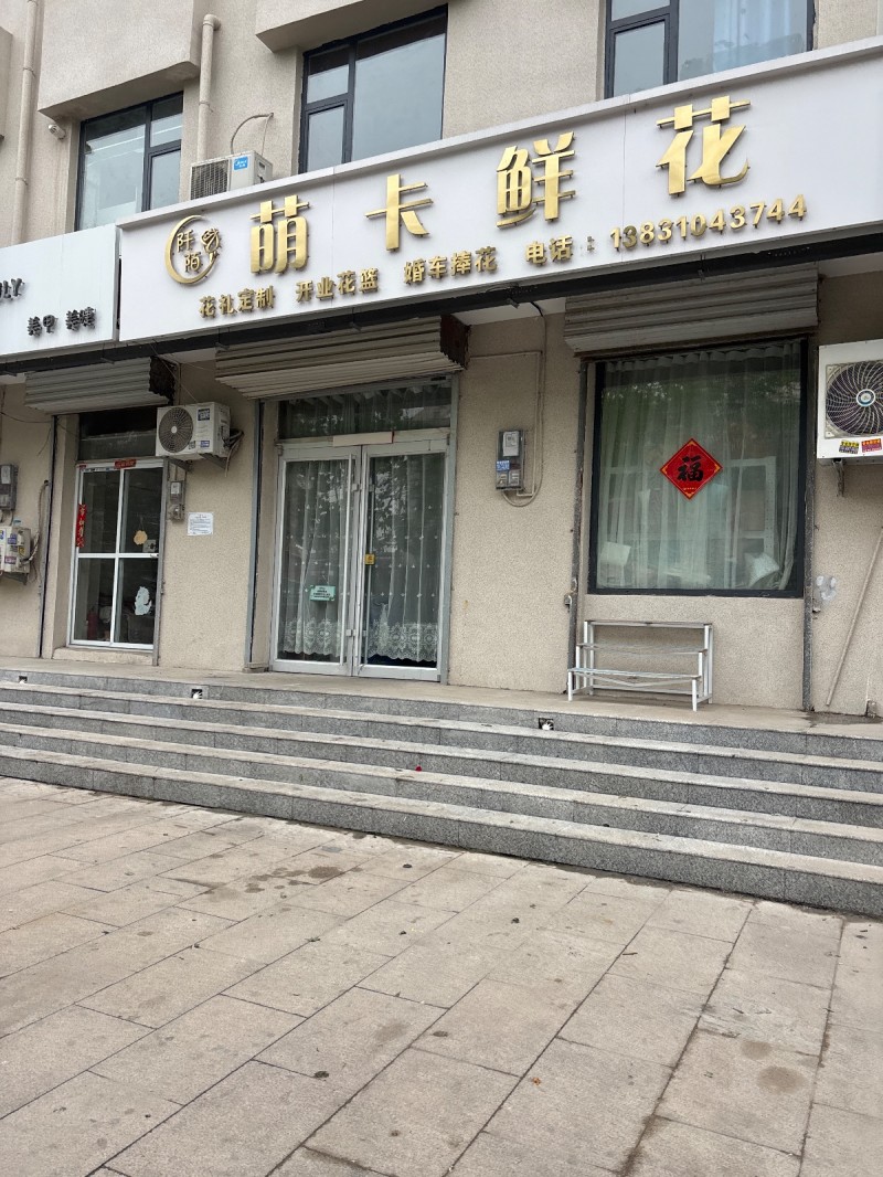 萌卡鲜花 
花礼定制，开业花篮 婚车捧花（第 1 张）
