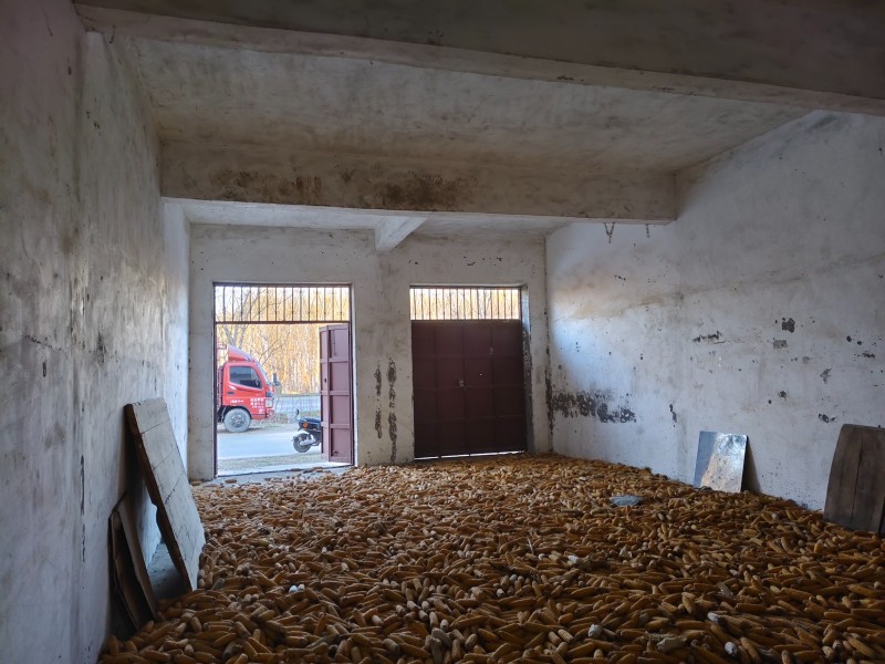 出售自建房，上下两间160平有个小院门口宽敞出门就是106国道边（第 3 张）