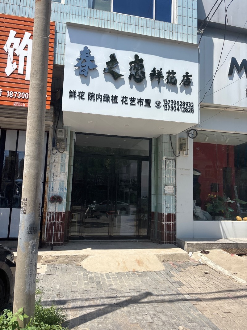 春之恋鲜花店（第 1 张）
