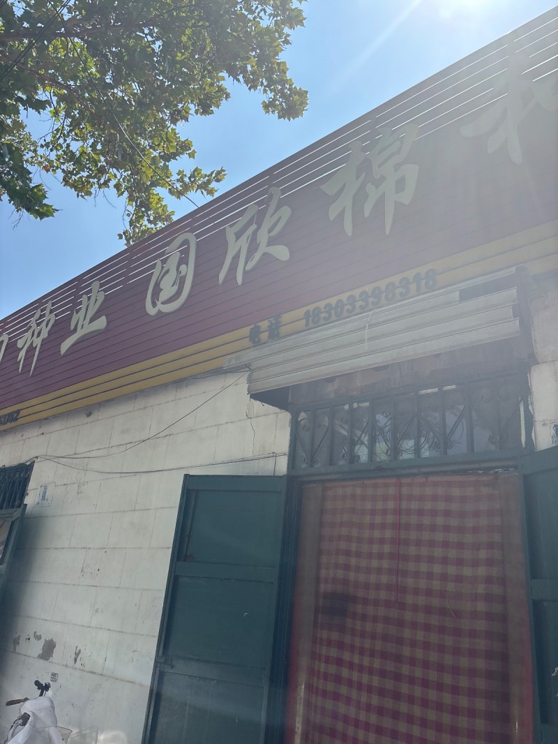种业 国欣棉（第 1 张）