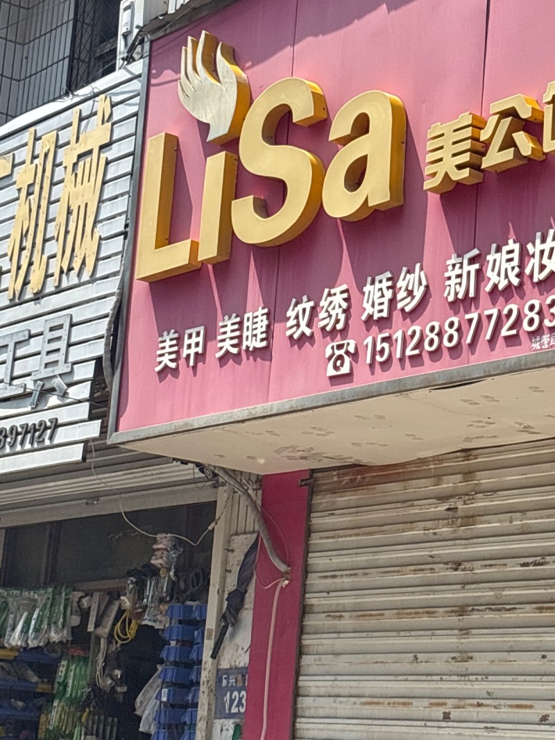 Lisa美公美曱美睫 绞綉 婚纱（第 1 张）