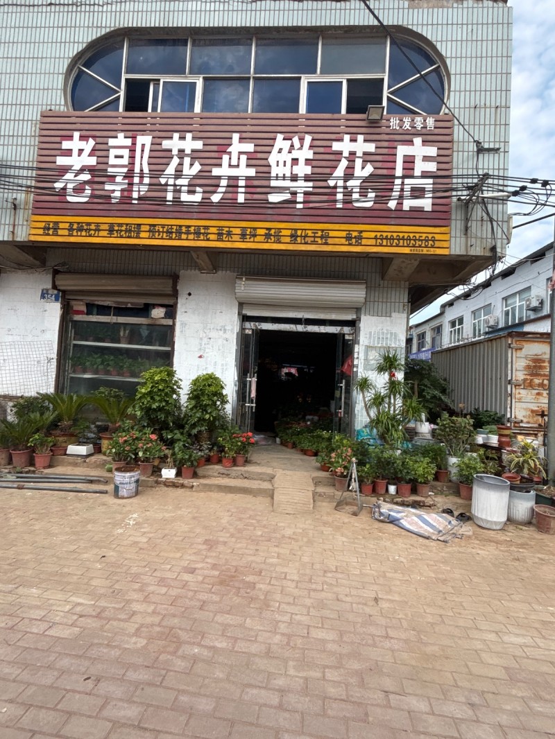 老郭花卉鲜花店（第 1 张）