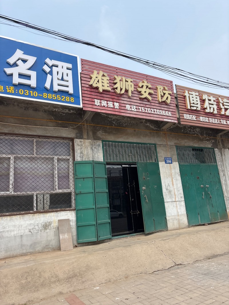 雄狮安防（第 1 张）
