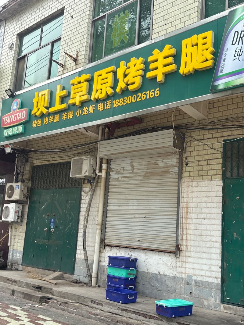 草原烤羊腿（第 1 张）