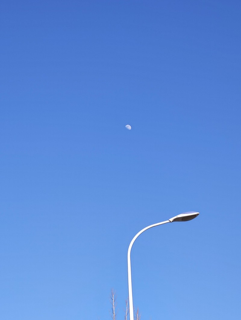 想在邯山区中华南大街与贸易街交叉口附近租一套小户型的房子，02年女生，爱干净，不（第 1 张）