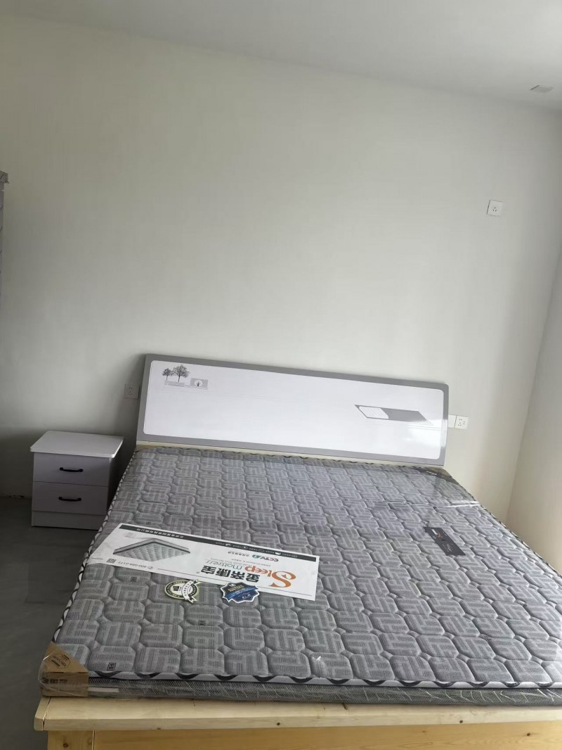 新建一套自建房一套，有三室两厅一厨一卫，有两室两厅一厨一卫，有独立小院，方便停车（第 2 张）