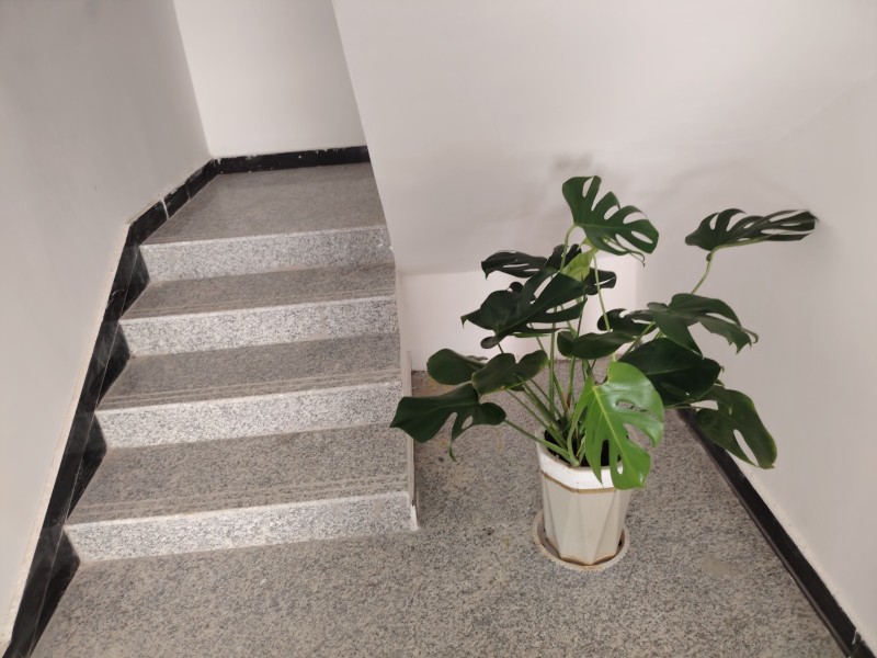 出租，老一中自建房二楼，一梯一户，水电暖齐全，育才小学和三中对面，拎包入住（第 2 张）