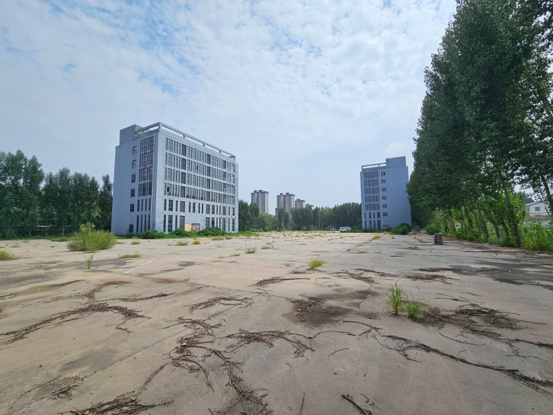 交通便捷，项目总占地30亩，三栋，地上7层，地下一层，框架结构，建筑面积1100（第 3 张）