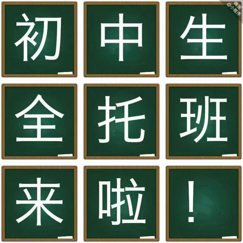 星火教育第十二届中考全托班开始了。
[第十二届]中考全天集训
[玫瑰]讲目标（第 1 张）