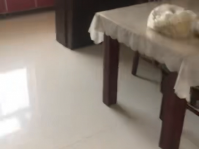 出售 三室两厅两卫，步梯，6层，三间卧室全部朝阳，房屋格局好，公摊面积小，对口小（第 3 张）