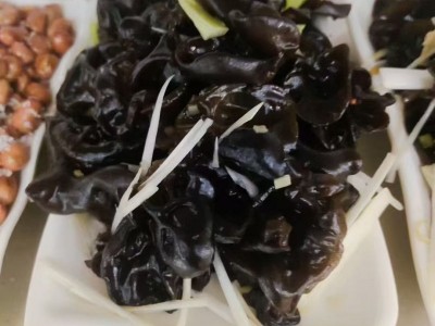 农村小破店，就俩菜，炖鸡128赠4个凉菜、花卷一份。炖嘎鱼138赠4个凉菜、花卷（第 7 张）
