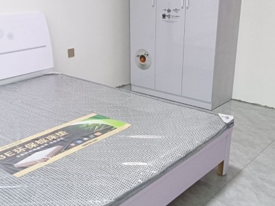 出租县城石辛寨村西自建单元房两室一厅一卫，三室一厅一卫，临近二中，四中，五完小，（第 4 张）