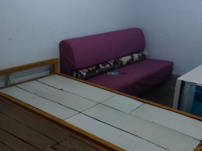 出租：农林路与渚河路交叉口往南，路西。光明南81号院，（千鑫美食林后面）家属院6（第 1 张）