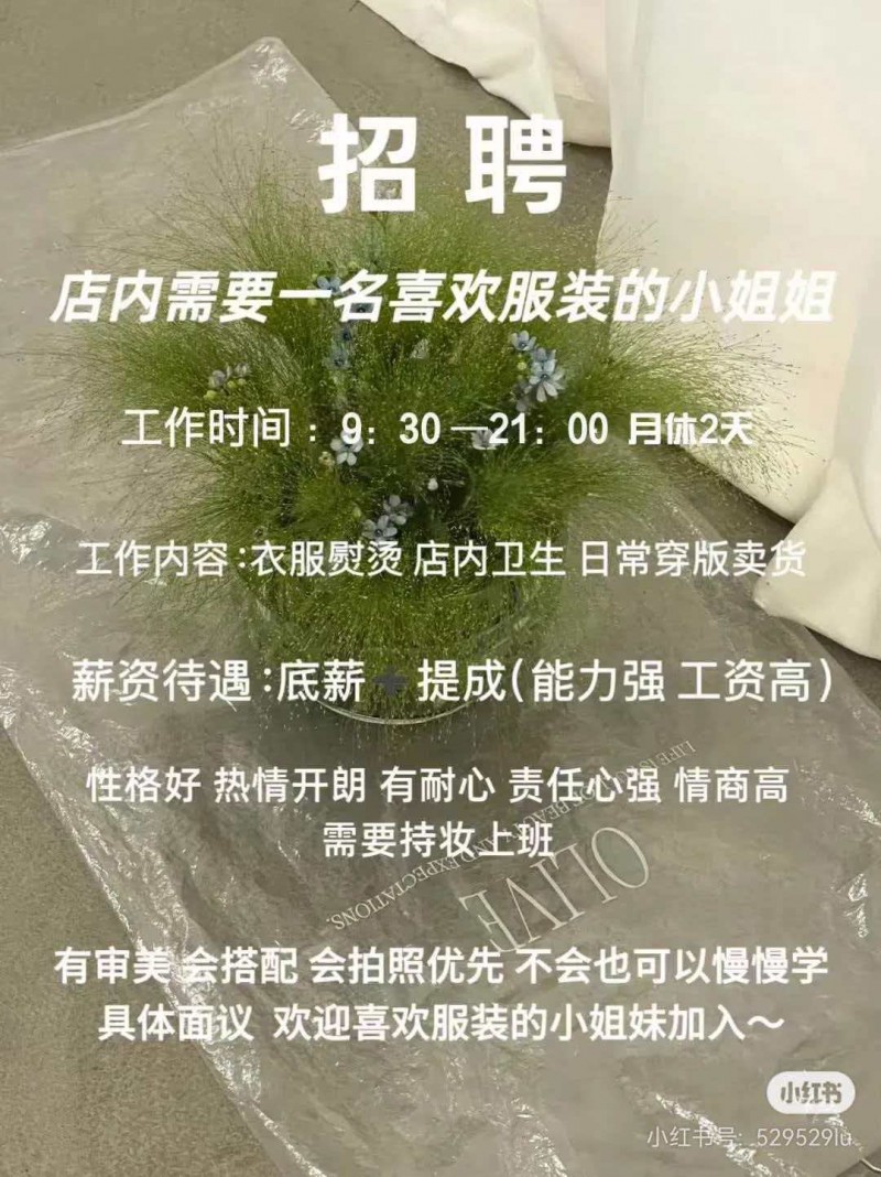 招聘（第 1 张）