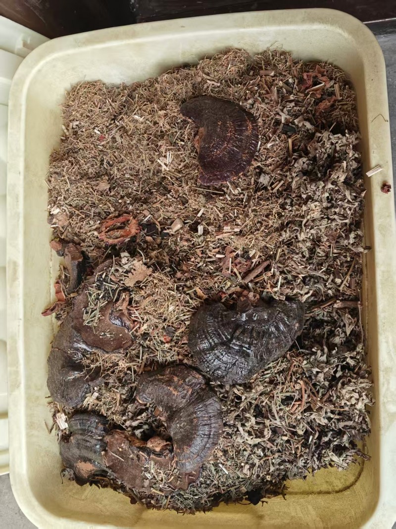 纯植物无添加的手工皂。洗头控油皂固发养发，洗脸皂温和不刺激，洗了一个月脸都光滑细（第 2 张）