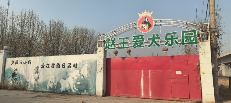 犬舍管理员（第 1 张）