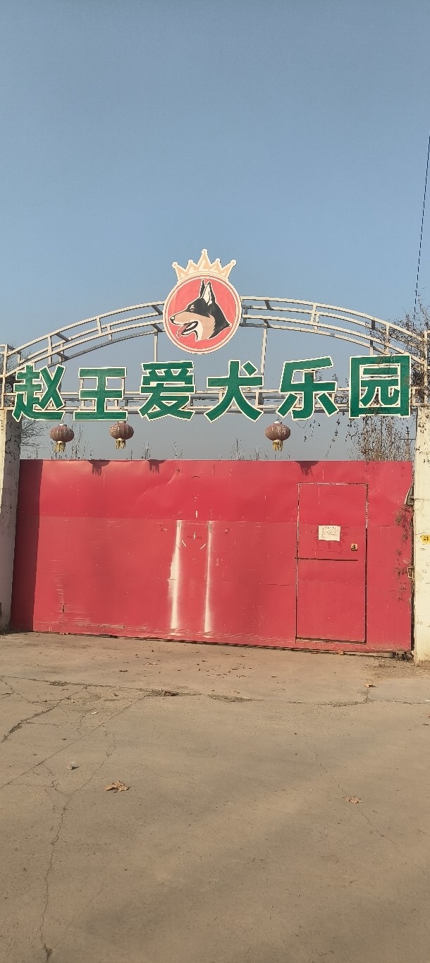 犬舍管理员（第 1 张）