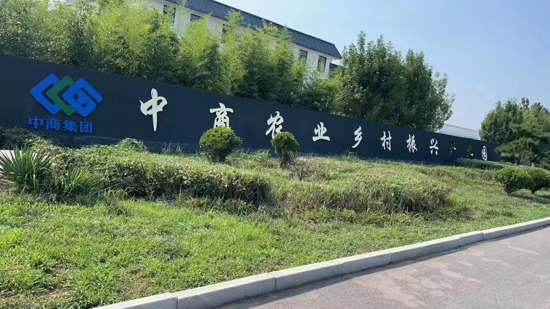 会计（第 1 张）