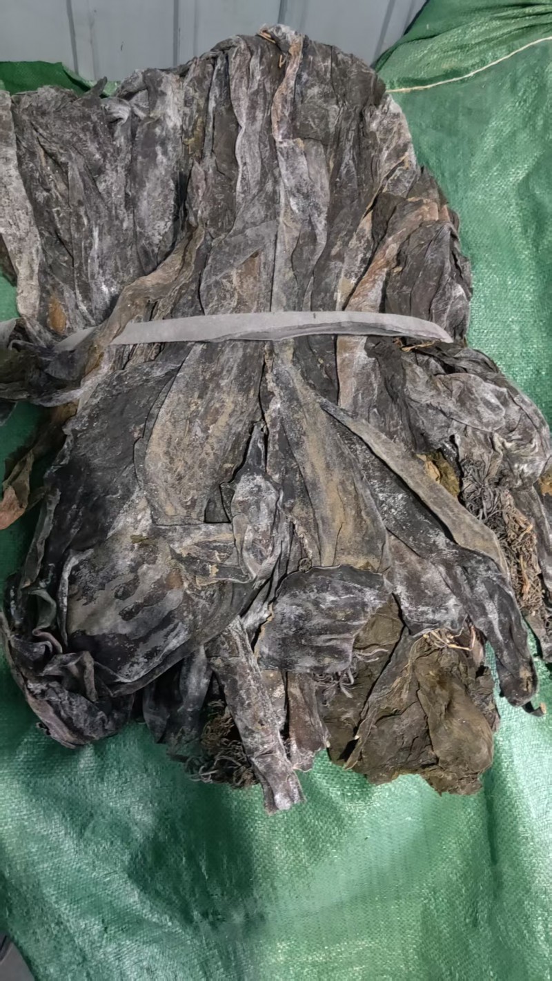 海带成捆是4块钱一斤，成大包要是3.5一斤一大包是三十来斤左右，粉条是真正的纯红（第 1 张）