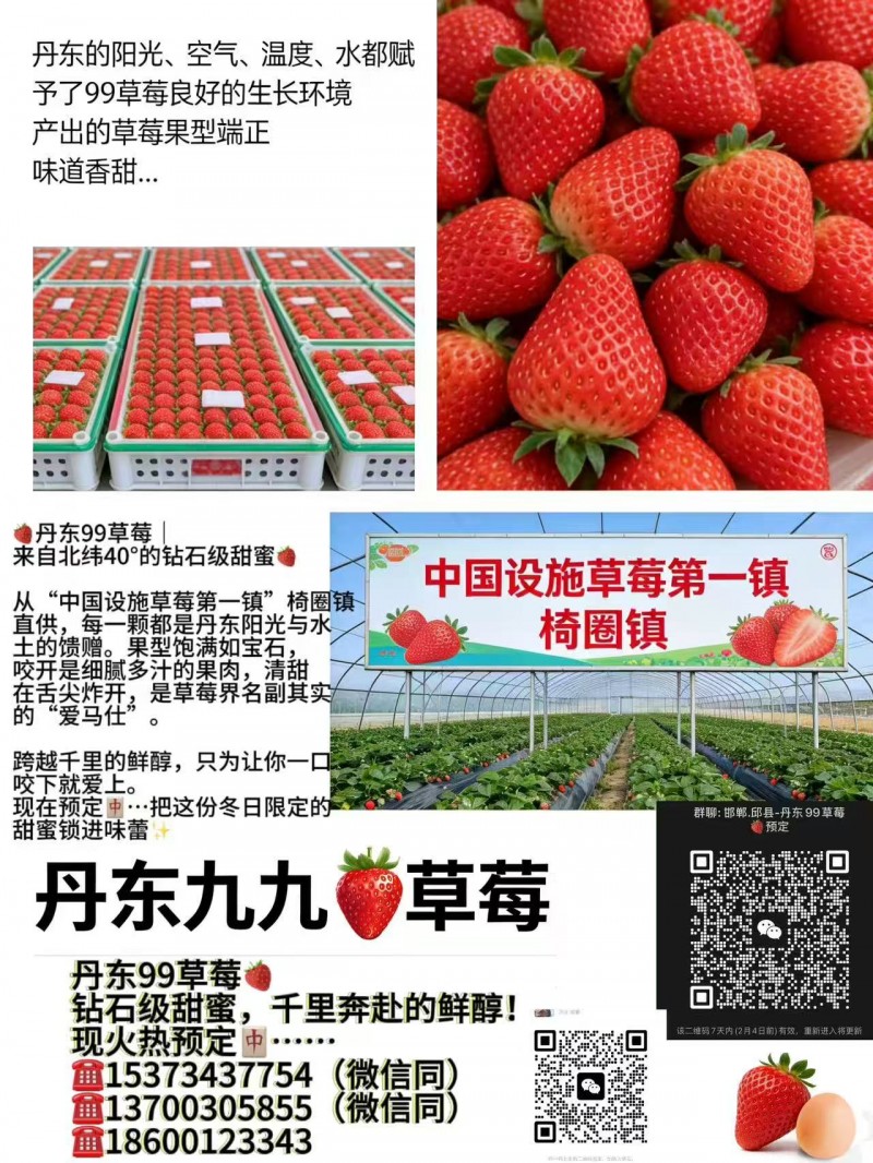 丹东九九“草莓
钻石级甜蜜
千里奔赴的鲜醇!
现火热预定中…（第 1 张）