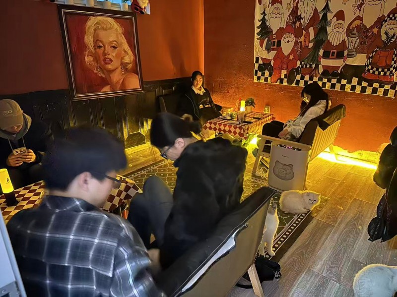 急转！！转让费超低！！
邯郸市唯一一家独栋loft形式猫咖，楼上楼下共两层，一（第 3 张）