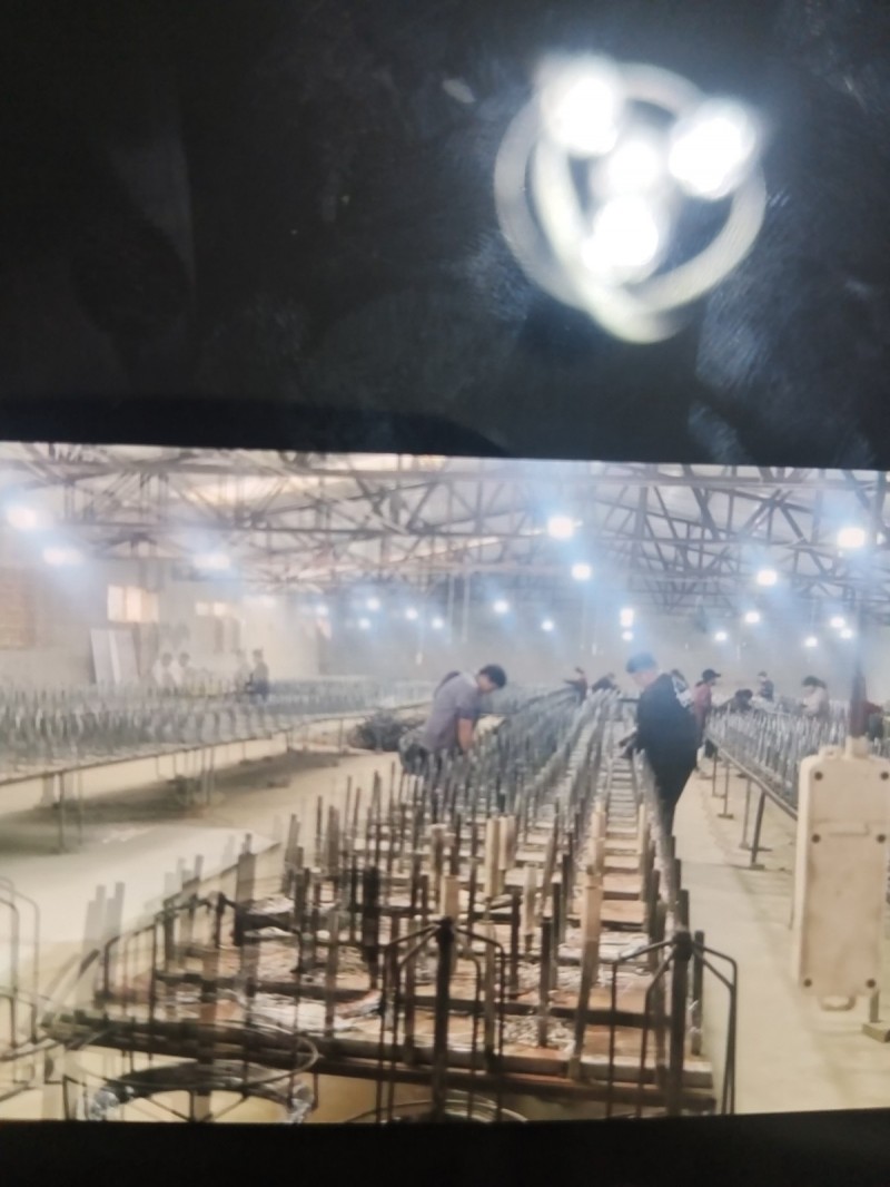 绕网工月工资5000-7000（第 1 张）