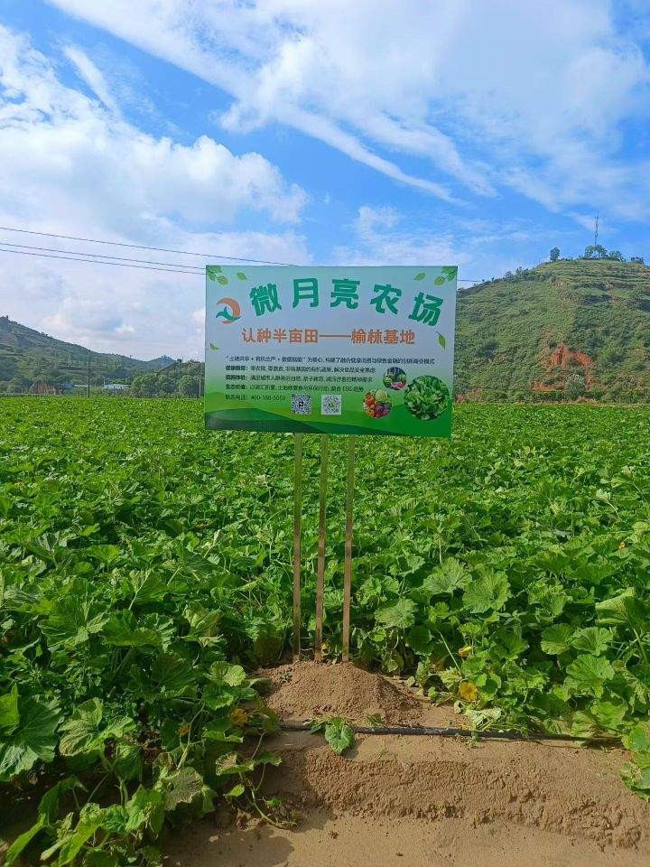 经理（第 3 张）