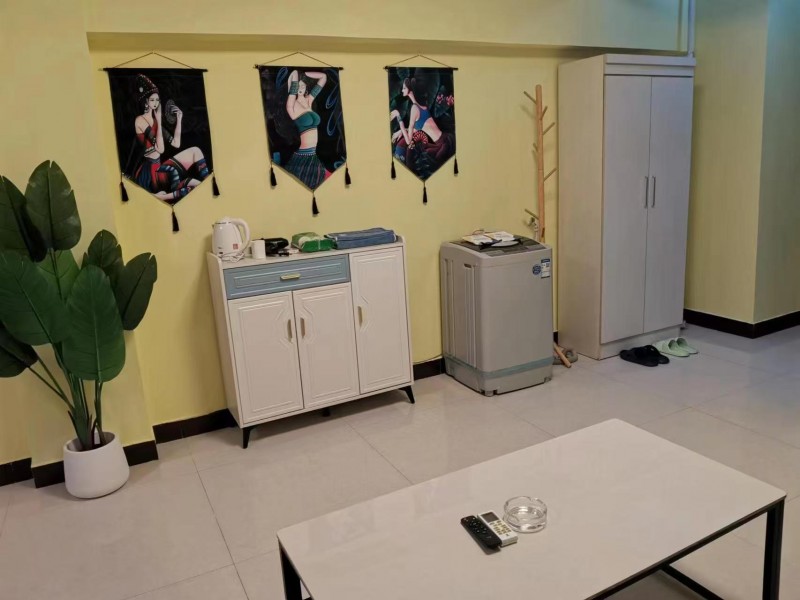 出租康德电梯一居室家具家电齐全拎包入住可押一（第 5 张）